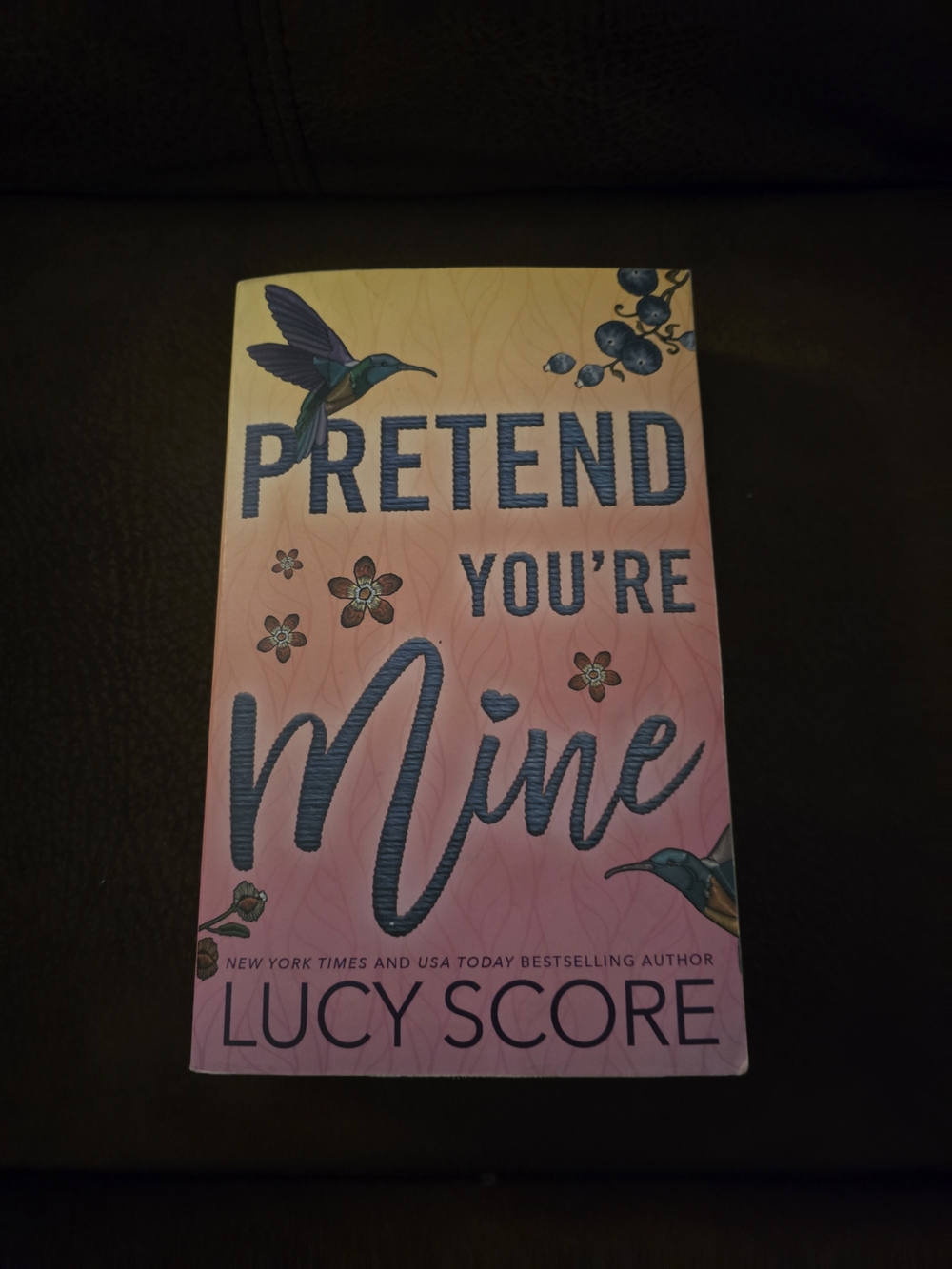 3/$15 Pretend You're Mine by Lucy Score